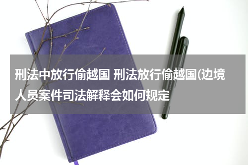 刑法中放行偷越国 刑法放行偷越国(边境人员案件司法解释会如何规定