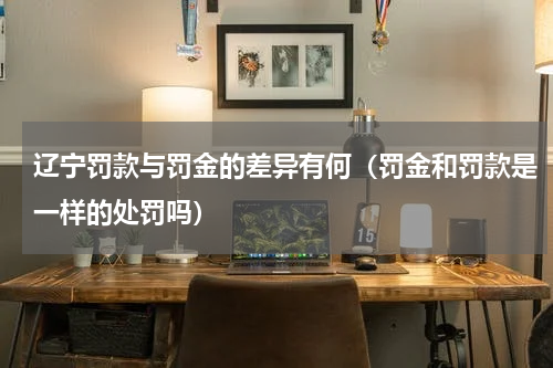 辽宁罚款与罚金的差异有何（罚金和罚款是一样的处罚吗）