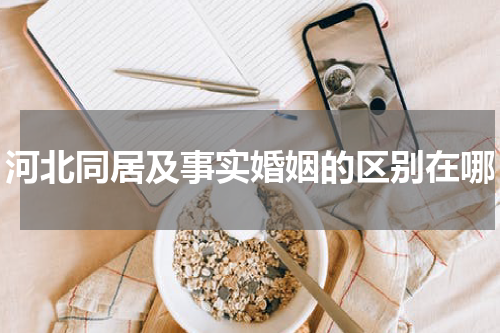 河北同居及事实婚姻的区别在哪