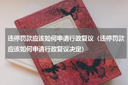 违停罚款应该如何申请行政复议（违停罚款应该如何申请行政复议决定）