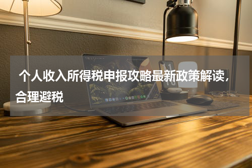  个人收入所得税申报攻略最新政策解读，合理避税