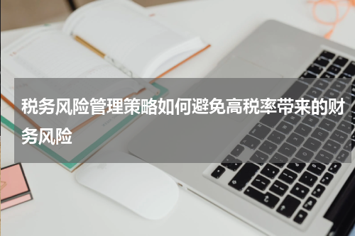 税务风险管理策略如何避免高税率带来的财务风险