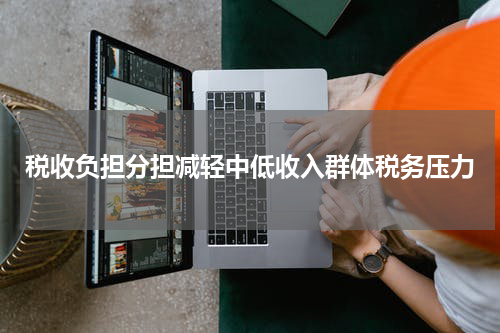 税收负担分担减轻中低收入群体税务压力