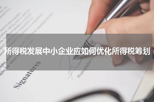 所得税发展中小企业应如何优化所得税筹划