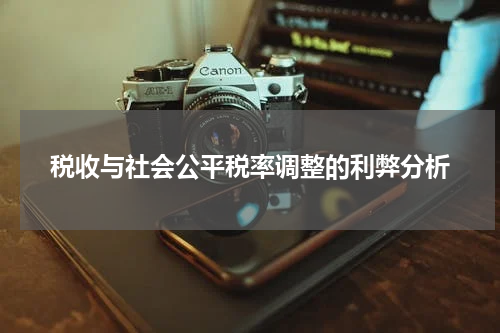 税收与社会公平税率调整的利弊分析