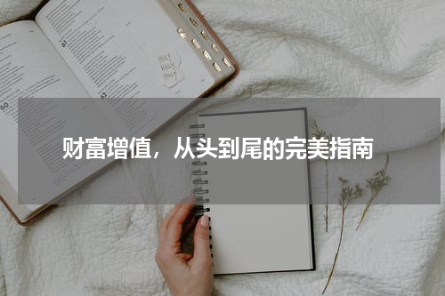  财富增值，从头到尾的完美指南
